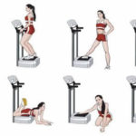 whole body vibration exercise