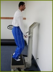 whole body vibration exercise calves