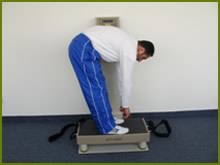 whole body vibration exercise hamstring stretch