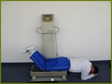 whole body vibration exercise quadriceps massage