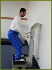 whole body vibration exercise squat