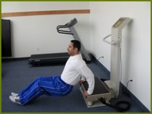 whole body vibration exercise triceps dip